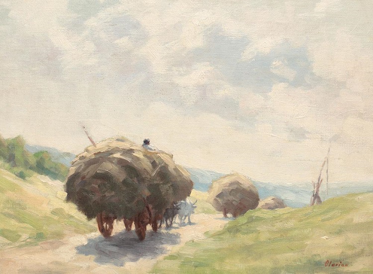 mircea_olarian_de_la_camp