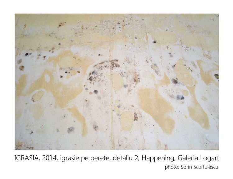 IGRASIA, 2014, igrasie pe perete, detaliu 2, Happening, Galeria Logart n